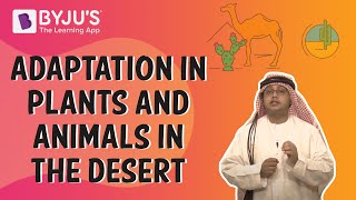 Adaptation In Plants And Animals In The Desert  Class 6  Learn With BYJUS [upl. by Bussy]