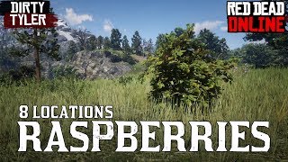 Raspberries RDR2 Raspberry Bush locations Red Dead Online [upl. by Orest]