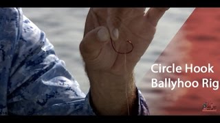 The BEST Live Ballyhoo Rig With A Circle HookInto The Blue [upl. by Barbi]