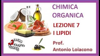 CHIMICA ORGANICA  Lezione 7  I Lipidi [upl. by Althee507]