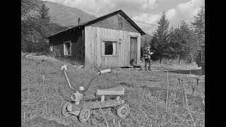 3 Haunting Cabin in the Woods Murders [upl. by Griff751]