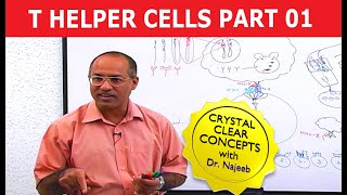 T Helper Cells  Immunology  Part 110 [upl. by Resneps]