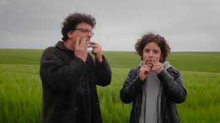 Jews harp in the field [upl. by Eeb]