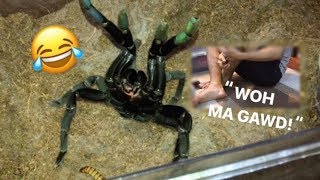 Arachnophobic friend FEEDS my TARANTULAS for the FIRST TIME  “Whoaa my goshhh” [upl. by Aseeral]