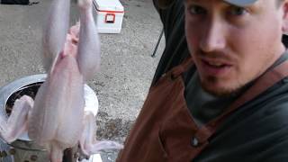 The Complete Chicken Butchering GuidePart 2 [upl. by Evered]