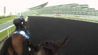 Exclusive video tour of the Meydan race track [upl. by Luoar]