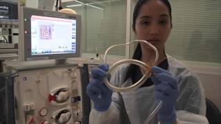 Setting up a Haemodialysis Machine Fresenius 5008 [upl. by Bilek]