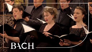 Bach  Motet Singet dem Herrn ein neues Lied BWV 225  MacLeod  Netherlands Bach Society [upl. by Ailito]