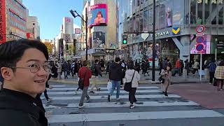 Shibuya Crossing  Tokyo [upl. by Eeimaj]