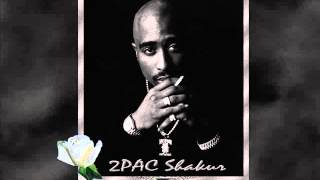 2Pac  Troublesome 96 Instrumental [upl. by Vizzone843]