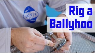 How to Rig a Ballyhoo for MONSTER OFFSHORE FISH [upl. by Ardet]