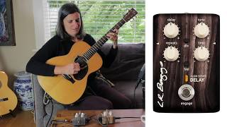 LR Baggs Align Series Delay and Chorus Effects Pedals  Acoustic Guitar Demo [upl. by Ecitnirp604]