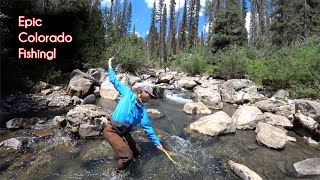 The TOP 10 fishing spots in Colorado  McFly Angler Fly Fishing [upl. by Garald]