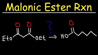 Malonic Ester Synthesis Reaction Mechanism [upl. by Sillad]