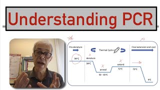 Understanding PCR [upl. by Noyart]