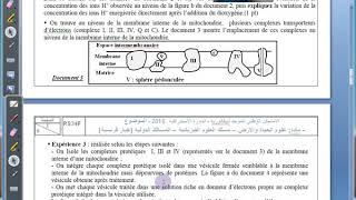 SVTexercice sur la consommation de la matiere organique et flux denergie2bac pcsvtbiof [upl. by Acinomad]