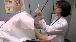 Gynecologist Common Procedures Explained [upl. by Carlstrom]