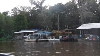 Swamp houses in New Orleans [upl. by Kcim609]