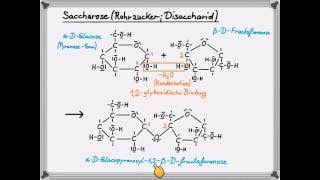 Saccharose [upl. by Jolyn971]