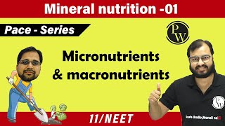 Mineral Nutrition  01  Micronutrients and Macronutrients  Class 11  Pace Series [upl. by Aihsem335]