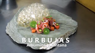 ¿COMO HACER BURBUJAS COMESTIBLES  BURNBUJAS DE PONZU CON ALBUMINA Y XANTANA [upl. by Anirehs677]