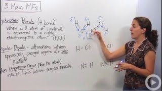 Intermolecular Forces [upl. by Ayomat816]