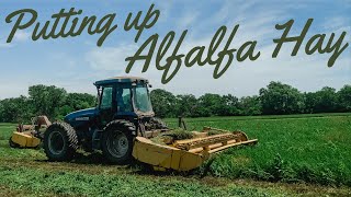 Round Baling Alfalfa In Kansas ENTIRE PROCESS [upl. by Moritz991]