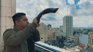 SHOFAR in Jerusalem  Ancient music horn  Jewish [upl. by Edlin]