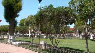 GUADALUPE VICTORIA DURANGO LA PLAZA [upl. by Airbmak]