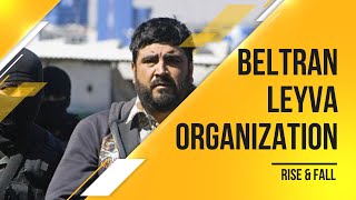 Cartel  Beltran Leyva Organization Rise amp Fall [upl. by Pride]