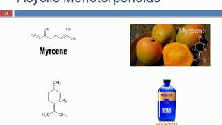 Terpenoids ppt [upl. by Eilis382]