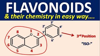 Flavonoids and their chemistry in easy way [upl. by Bolt]