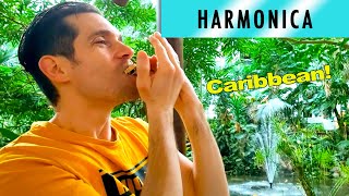 Caribbean harmonica  Ben Toury [upl. by Persse]