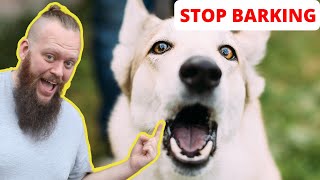 How to Train Your Dog to STOP BARKING at EVERYTHING [upl. by Tilford850]