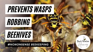 Prevent Wasps Attacks  How to Prevent Wasps Robbing Beehives  Stop Wasps Attacking Bees [upl. by Aicac]