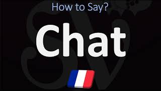 How to Say ‘CAT’ in French  How to Pronounce Chat [upl. by Miguela]