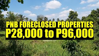 PNB FORECLOSED PROPERTIES P28000 to P96000 [upl. by Ahtinak386]