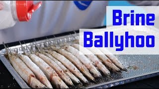 How to Prep Ballyhoo  How to Brine Baits [upl. by Garrik]