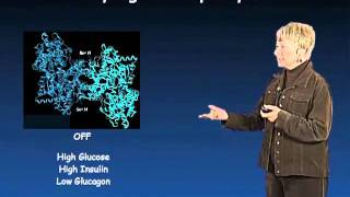 Susan Taylor UCSD Part 1 Protein Phosphorylation in Biology [upl. by Heidi]