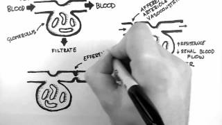 GFR 1  Control of GFR [upl. by Kristo]