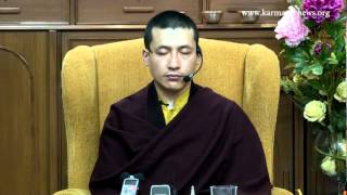 HH the 17th Karmapa Guiding a Meditation [upl. by Ahsieuqal]