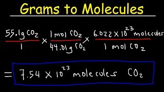 Grams to Molecules and Molecules to Grams Conversion [upl. by Heintz]