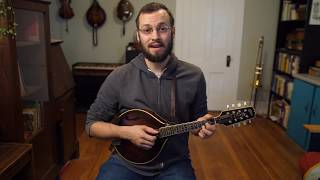 Beginner Mandolin Lessons Series Part Three Basic Strum Pattern [upl. by Aihseket]