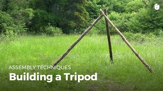 Building a tripod  Bushcraft [upl. by Eugenle545]