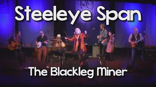 Steeleye Span  Blackleg Miner Live [upl. by Pratt]