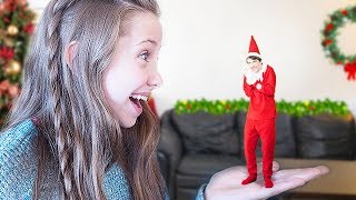 My Elf On The Shelf Came To Life [upl. by Ettelimay]