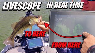 Using LIVESCOPE to catch fish in REAL TIME How Does Panoptix Work [upl. by Steady]