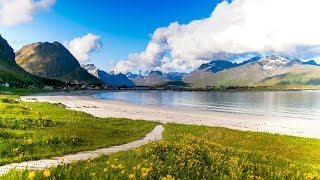 Uplifting Music  light positive happy music Gullrosøya  1 hour [upl. by Ynavoeg]