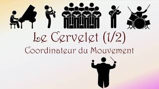 Neurofacile 5  Le Cervelet 12 [upl. by Gurtner]