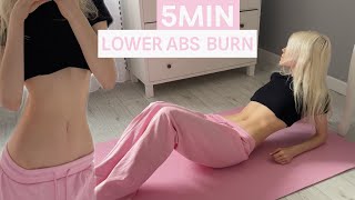 5MIN AB BURN WORKOUT FLAT STOMACH amp LOWER BELLY HOURGLASS AB WORKOUT [upl. by Anasor771]